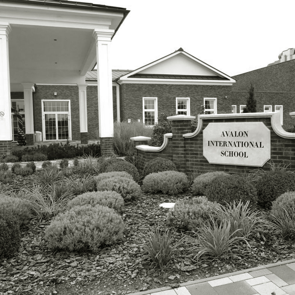International School